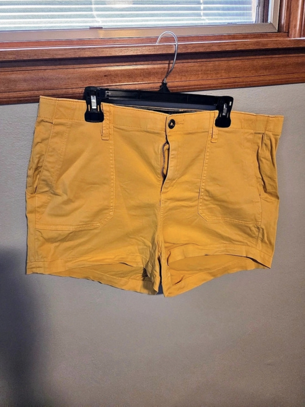 TORRID Shorts in Yellow Size 18